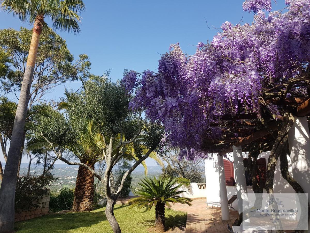 Monte-Bougainvillea Azinheiro Esterno foto